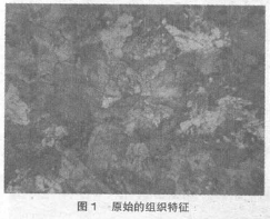圖1
