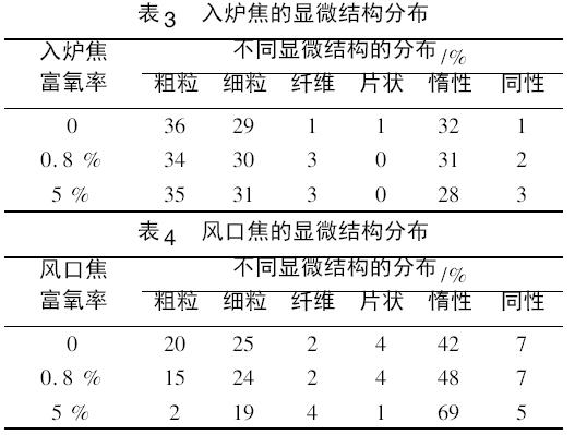 圖片19
