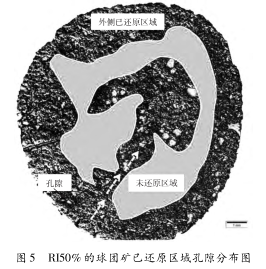 圖片8