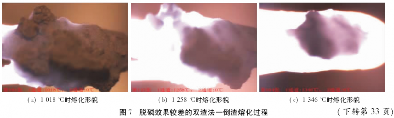 圖片7
