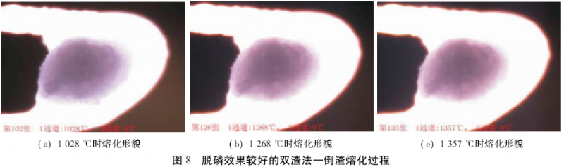 圖片8