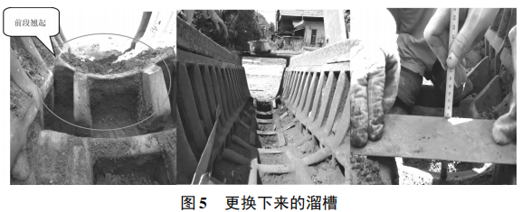 圖片5