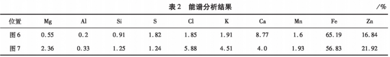 圖片7