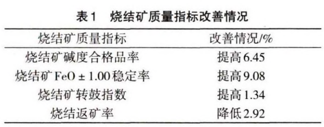 圖片9