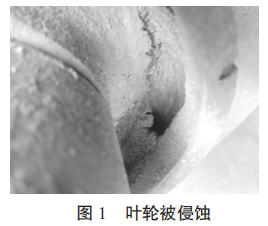 圖片1