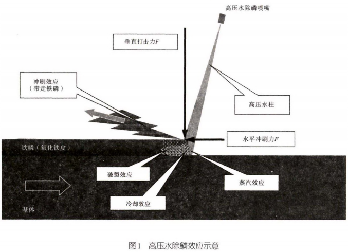 圖片1
