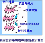 圖片3