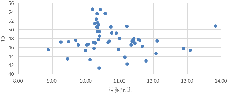 圖片11